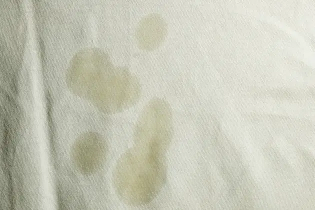 Olive Oil Clothes Stain Image